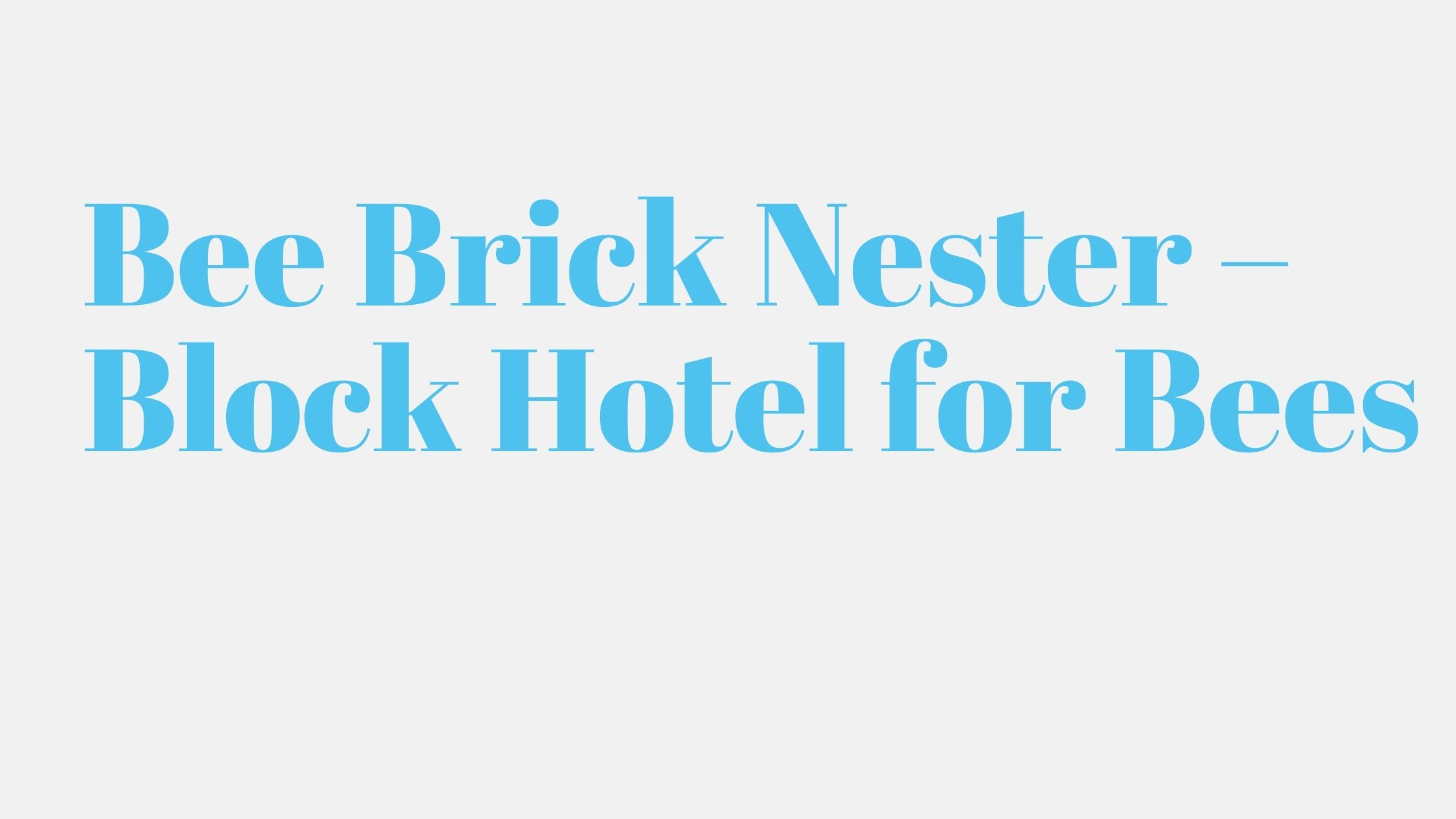 You are currently viewing Bee Brick Nester – Block Hotel for Bees