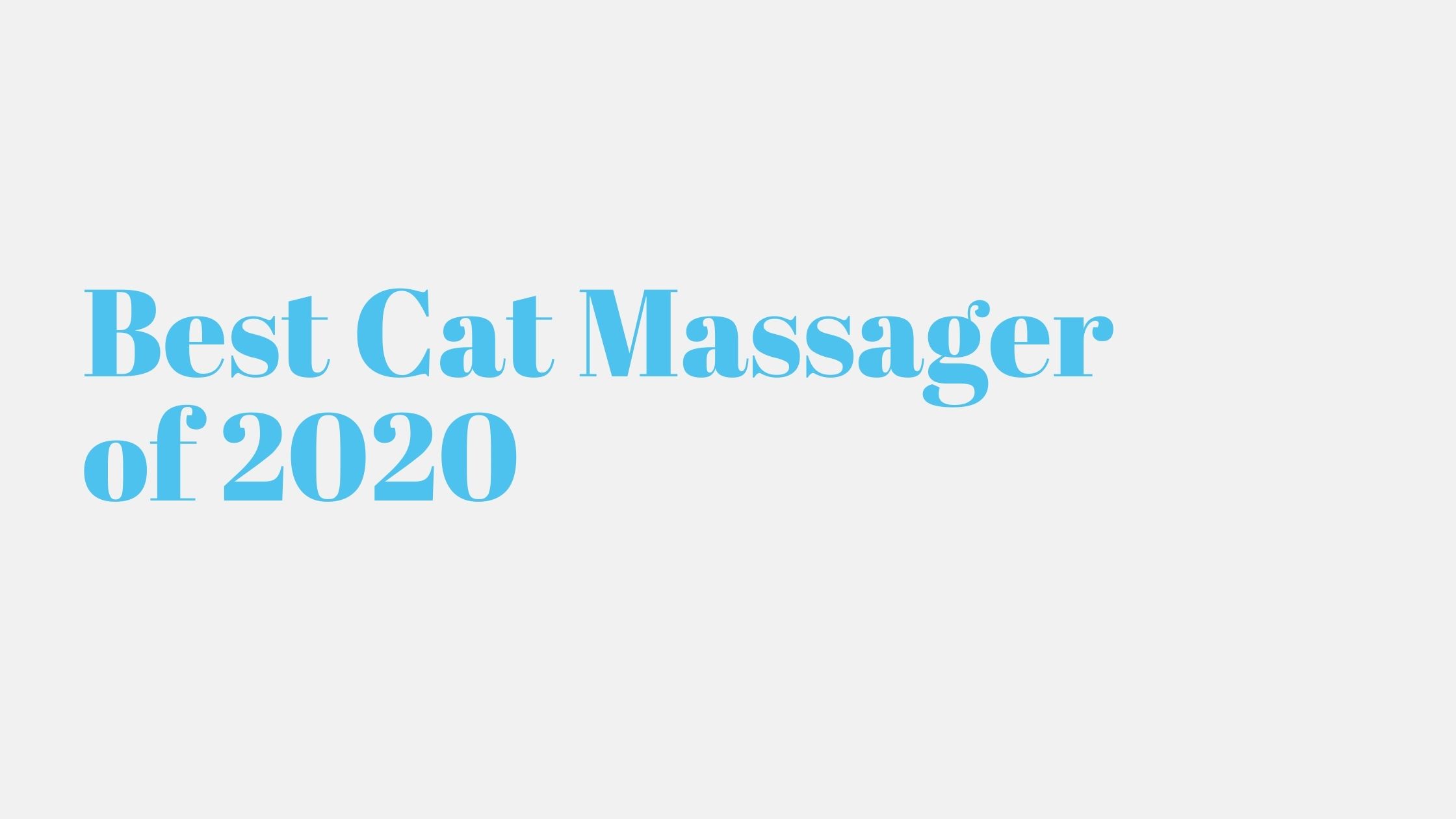 You are currently viewing Best Cat Massager of 2020