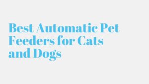 Read more about the article Best Automatic Pet Feeders for Cats and Dogs
