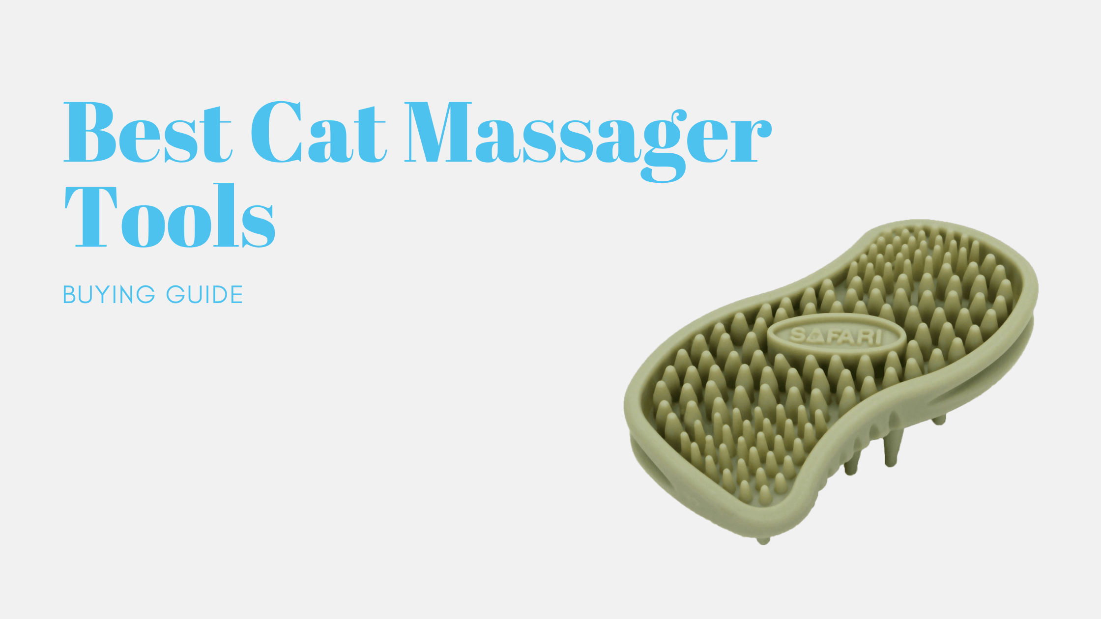 Read more about the article 10 Best Cat Massager Tools