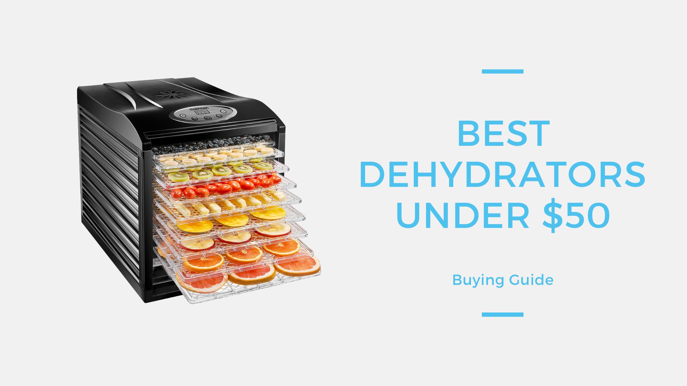 10 Best Dehydrators under $50