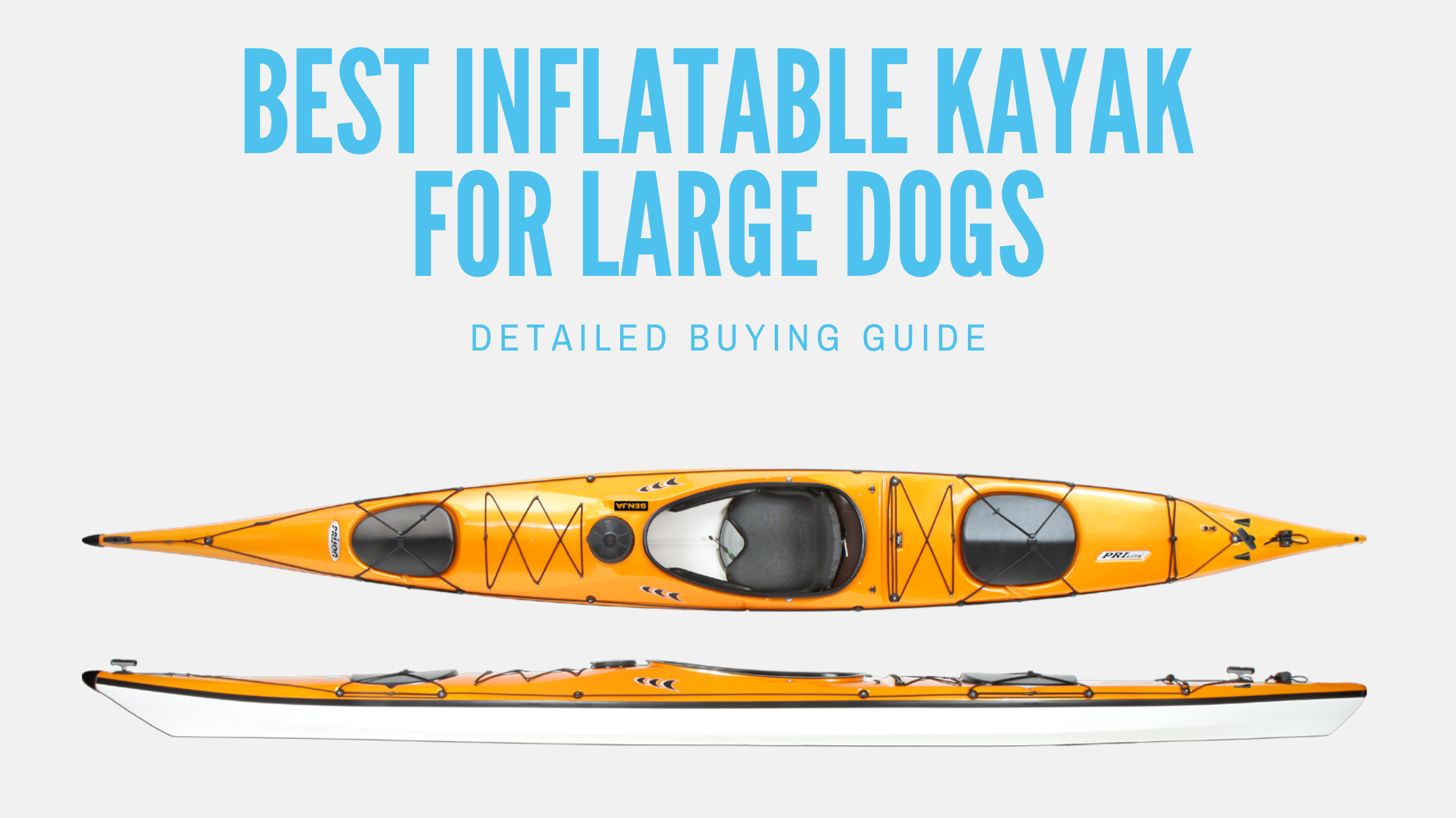 10 Best Inflatable Kayak for Large Dogs