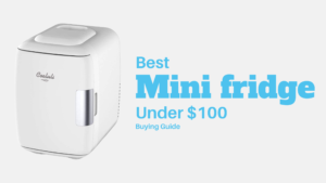 Best Mini fridge under $100