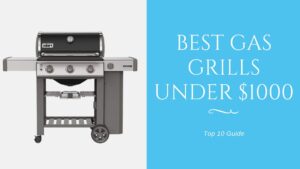 Read more about the article 12 Best gas grills under $1000