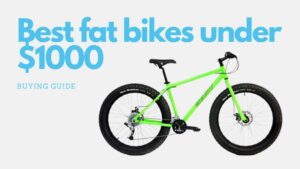 Read more about the article 10 Best fat bikes under $1000